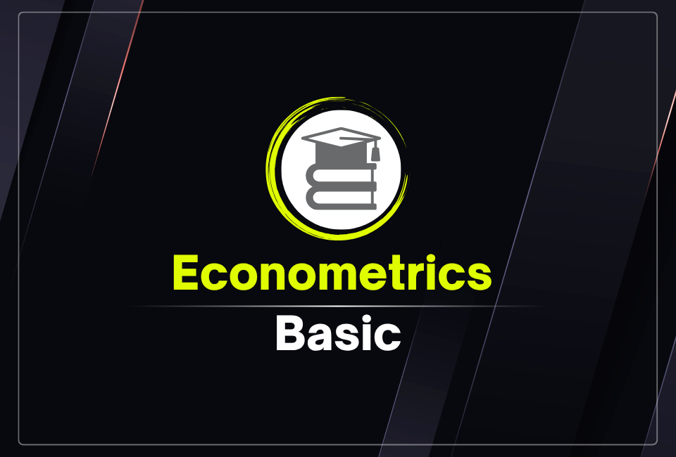 Basic Econometrics Course – Ecoholics
