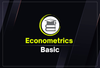 Basic Econometrics Course